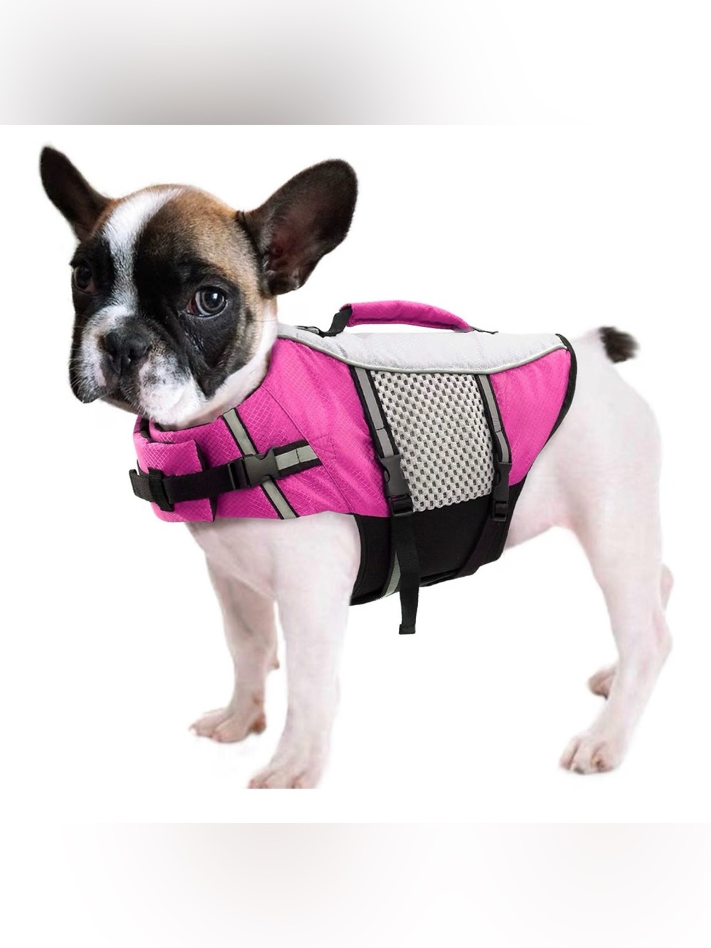 Pink Dog Life Jacket